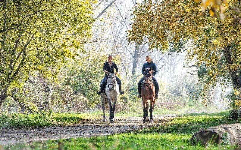 tour_cavallo_sicilia